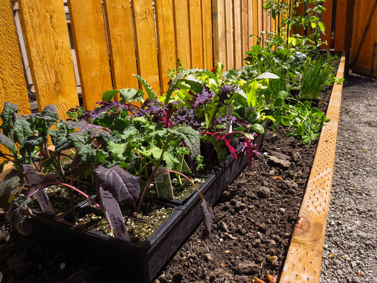 DIY Vertical Gardens: Step-by-Step Guide