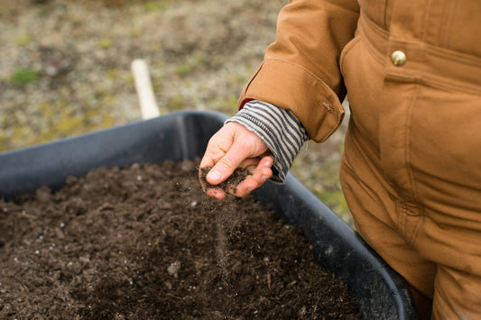 Seasonal Flower Care: Preparing Your Garden for Each Season