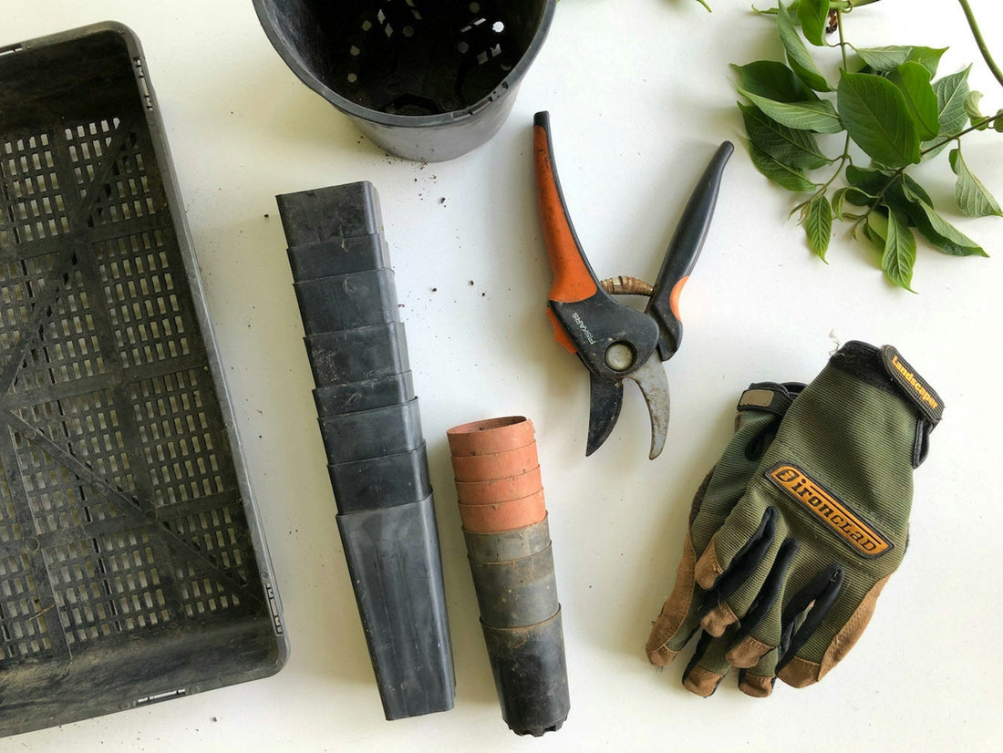 Top 10 Gardening Tools Every Home Gardener Needs
