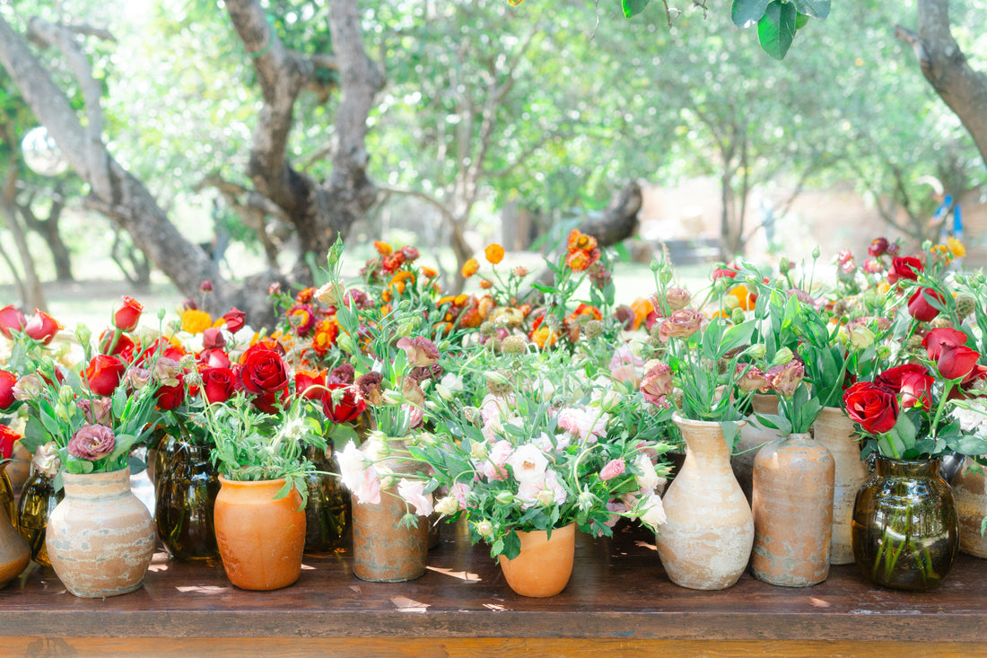 🌿 Transform Your Outdoor Space: Must-Have Garden Essentials for a Thriving Garden