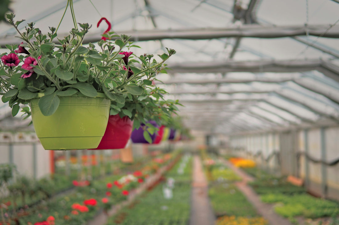 Grow Happiness at Home: The Garden Shop Essentials You Need in 2025