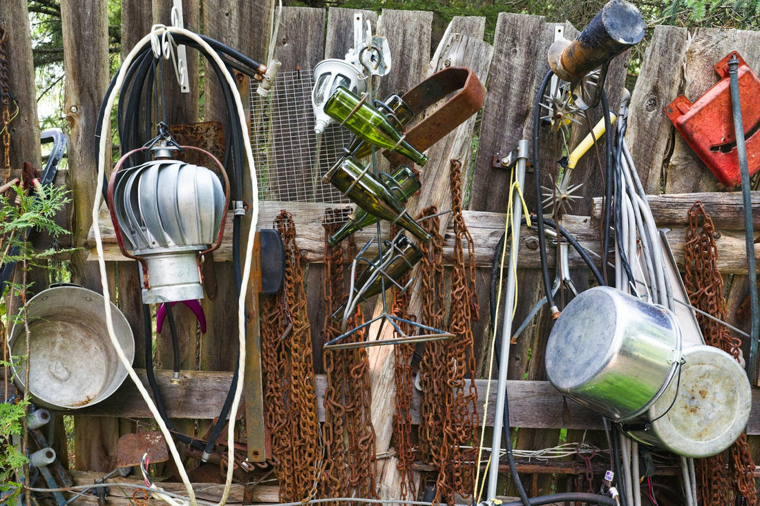 Transform your garden in 2025 with these 8 expert-recommended plants. Discover low-maintenance, eco-friendly choices that thrive year-round. Shop now for plants that bring beauty and joy to your home.