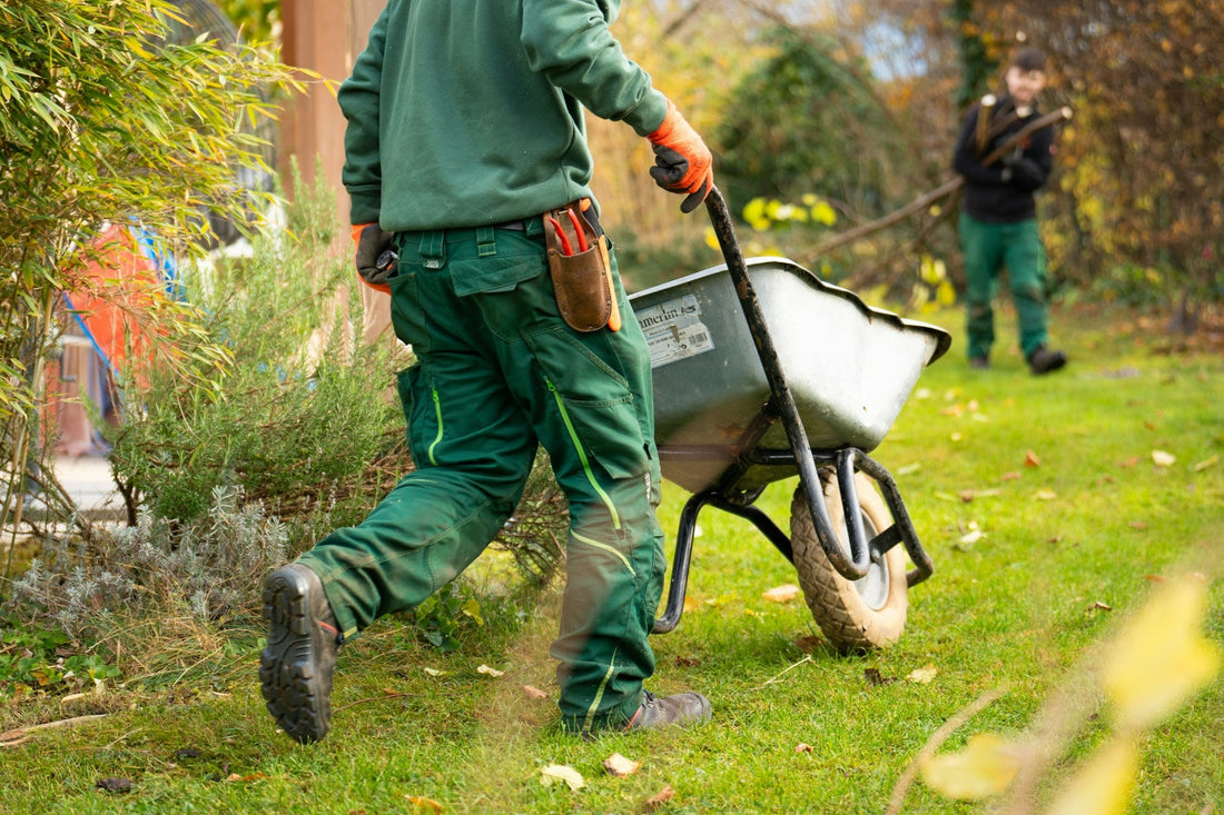 Top 5 Must-Have Tools Every Beginner Gardener Should Buy from a Garden Shop