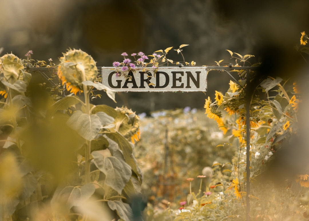 Behind the Scenes: A Day in the Life of a Garden Shop Owner