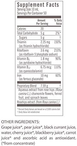 Floravital Liquid Iron Supplement + Herbs 17 Ounce