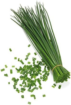 Common Chives Seeds for Planting, 1000+ Heirloom Seeds Per Packet, (Isla's Garden Seeds), Non GMO Seeds, Botanical Name: Allium tuberosum, Great Herb Garden Gift