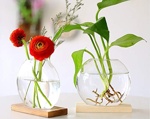 Kingbuy Desktop Round Glass Planter Terrarium Flower Vase with Wooden Stand for Propagation Hydroponic Water Plants Home Office Decor, 2 Pack, Beige