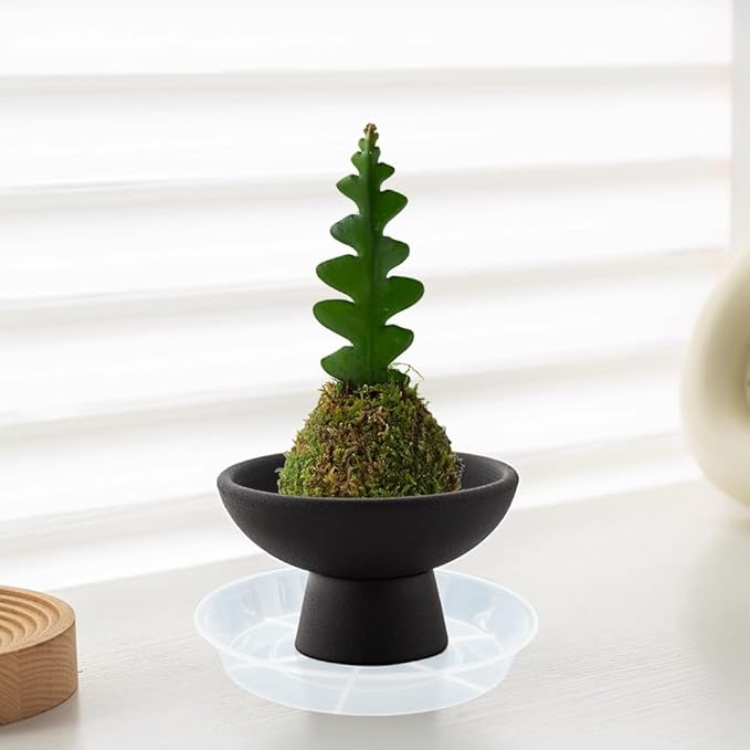 6 Pack Plant Saucer Drip Tray 14 inch, Large Plastic Plant Trays, Heavy Sturdy Plastic Planter Flower Pot Saucers for Indoor Outdoor Garden, Plant Water Drip Trays for pots (14", Clear)