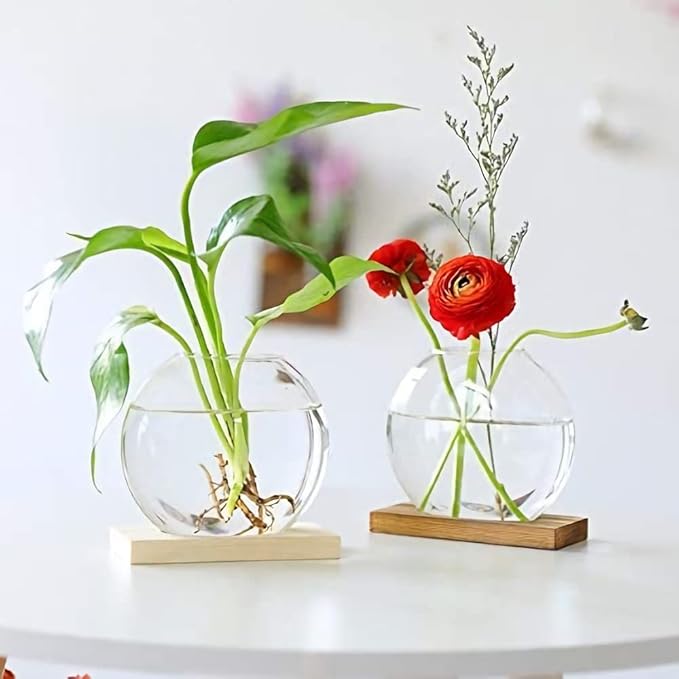 Kingbuy Desktop Round Glass Planter Terrarium Flower Vase with Wooden Stand for Propagation Small Hydroponic Plants Home Office Decor, 2 Pack, Brown