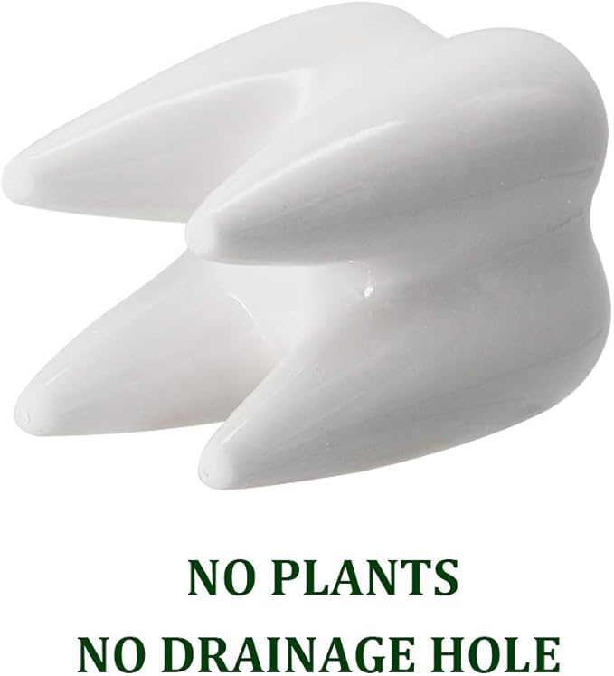 YOFIT Modern Style Teeth Pots Ceramic Flower Pot for Dental Gifts, White Succulent Cactus Bonsai Planter Container for Dental Office Decor, 3.7" Set of 4