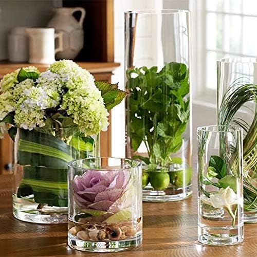 Kingbuy Wall Planter Terrarium Plant Propagation Station Glass Wall Vase for Home Kitchen Windowsill Decor, Plant Lover Gifts, Clear Medium Cylinder, 4 Pack