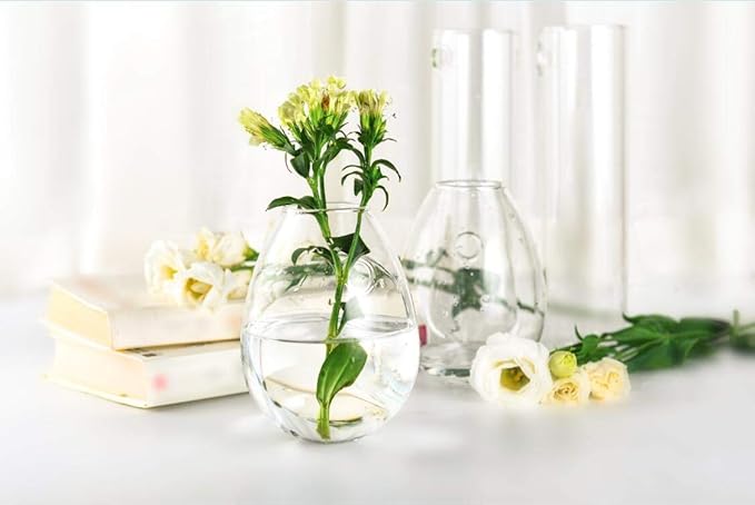 Kingbuy Wall Hanging Propagation Station Glass Plant Terrarium Container Egg Shape for Propagating Hydroponic Plants Home Office Garden Decor Wedding, 4 Pack