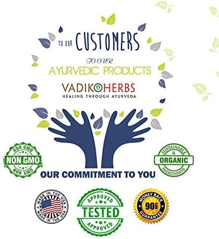Vadik Herbs Mahasudarshan Powder 100 Vegicaps | Supports Immunity and Promotes Detoxification, Helps to Maintain Normal Body Temperature