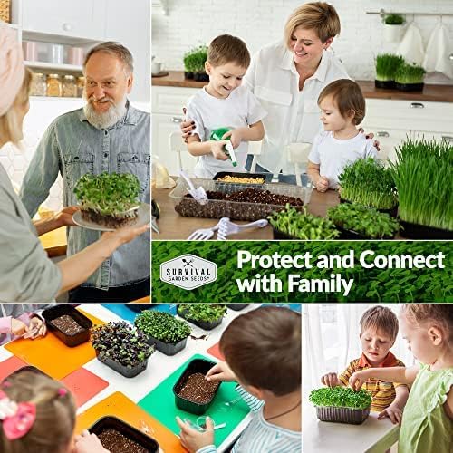 3 Packs Clover Microgreens Seeds for Sprouting and Growing - Sprout Green Leafy Micro Herb Plants Indoors - Grow A Mini Windowsill Garden - Non-GMO Heirloom
