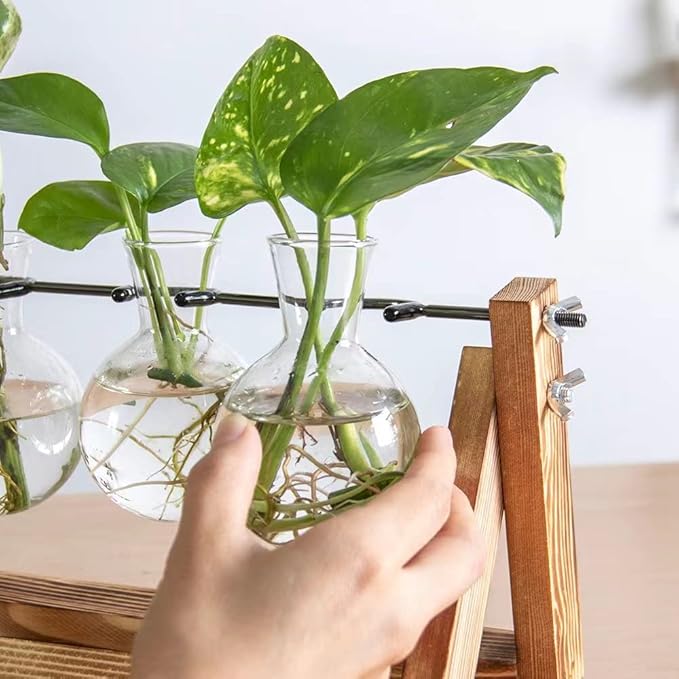 Ivolador Propagation Station, Bulb Plant Terrarium,Planter and Holder Plant Lover Gifts for Women ,Gifts for mom,Plants Home Garden Wedding Decor (3 Bulb-C Type)