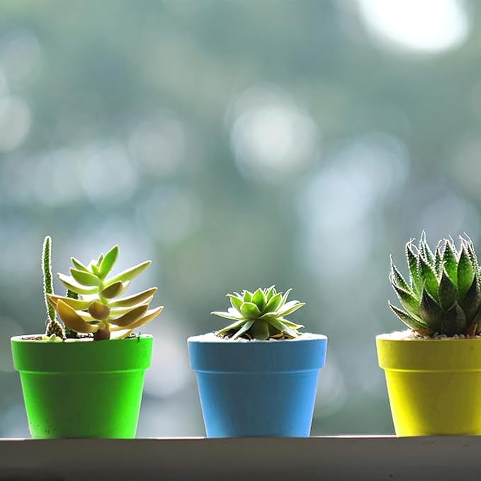50 Packs Cupcake Plant Nursery Pots with Humidity Dome- Planting Containers Cups- Small Flower Pots for Indoor Outdoor Plant Succulent Vegetable (Mixed Color)