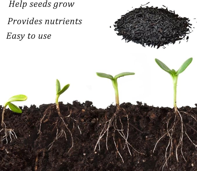 Horticultural Charcoal, Rice Husk Natural Activated Charcoal for Plants Indoor Biochar Soil Amendment Organic for Terrariums - 2.2 lbs