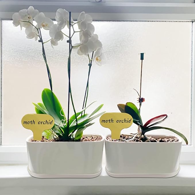 Window Box Planter with Saucers, 10 Sets Rectangular Planter with Multiple Drainage Holes and Trays Plant Pots, Outdoor Planter Or Indoor Planter for Succulent Cactus Flowers Vegetable