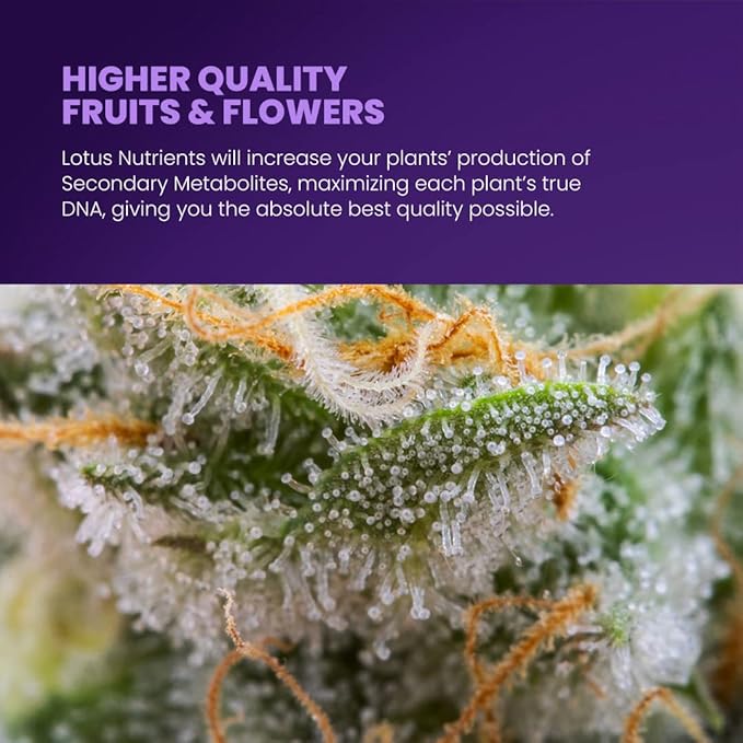 128oz Complete Veg Nutrient for Fast Healthy Growth and Massive Roots - Naturally Derived Water Soluble Premium Powdered Nutrient Fertilizer for Soil, Hydroponic, and Coco Coir Indoor and Outdoor