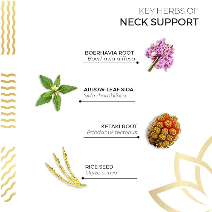 Kerala Ayurveda Neck Support Herbal Capsule 90 Count