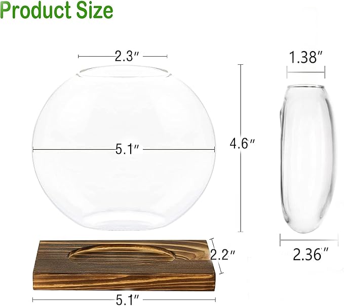 Kingbuy Desktop Round Glass Planter Terrarium Flower Vase with Wooden Stand for Propagation Hydroponic Water Plants Home Office Decor, 2 Pack, Beige