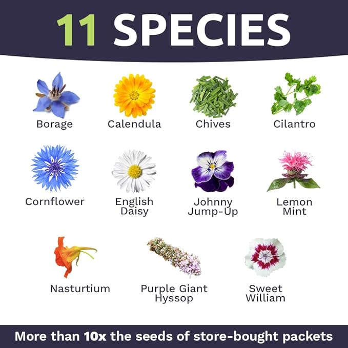 Wildflower Seeds Edible Flowers Mix - Bulk 1/4 Pound Bag Over 30,000 Open Pollinated Annual and Perennial Seeds