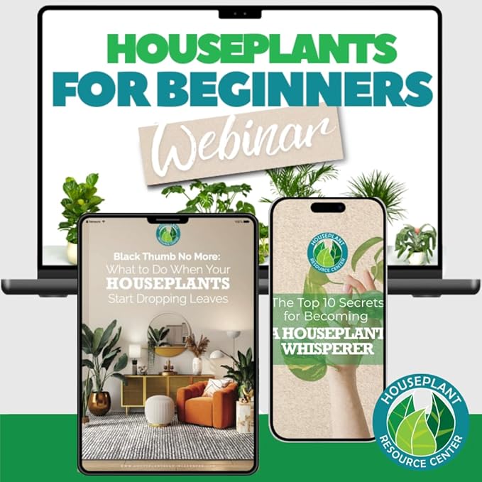 Stainless Steel Watering Can for Houseplants by Houseplant Resource Center | 1L Capacity for Indoor/Outdoor Plants in Brushed Gold