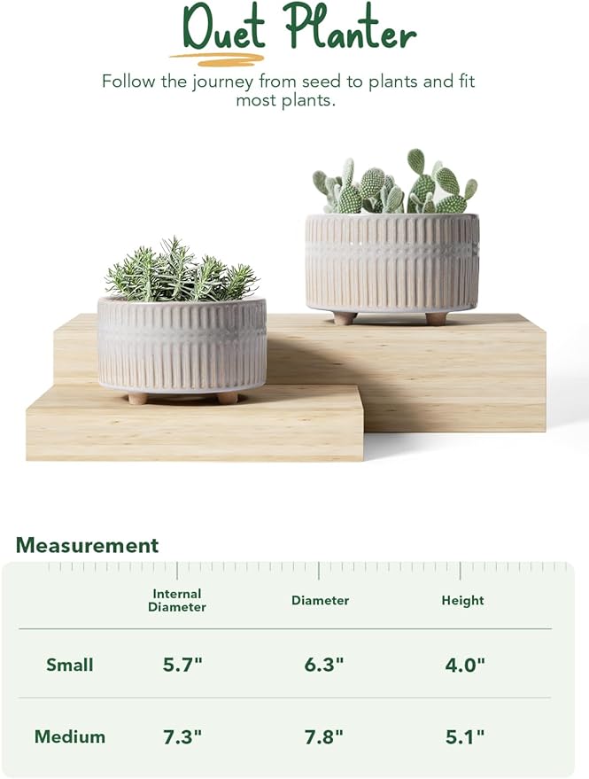LE TAUCI Succulent Pots, 6.5+8 Inch Ceramic Indoor Plant Pot with Drainage Hole, Modern Round Decorative Flower Pot, Set of 2, Reactive Glaze Star White