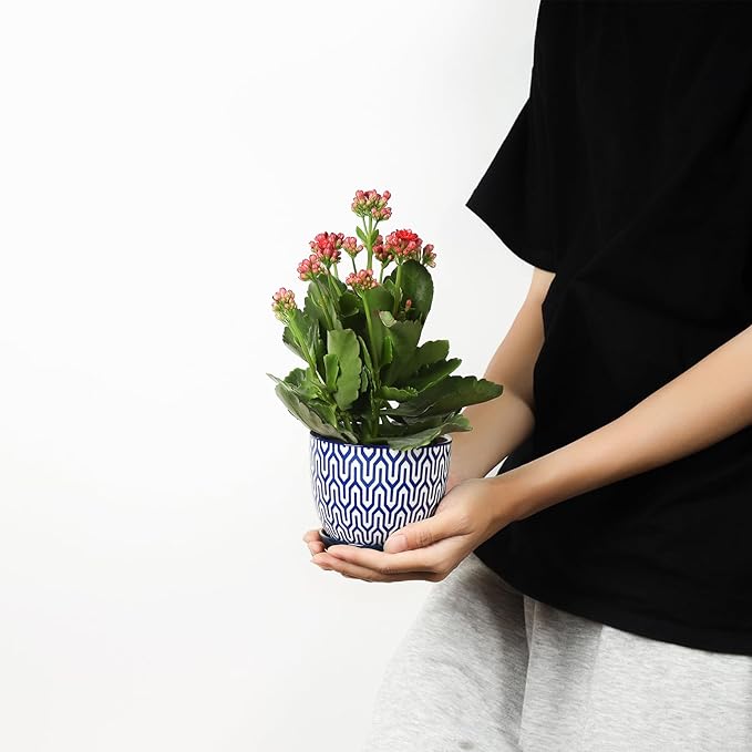 Selamica Ceramic Plant Pots, Indoor Flower Pots for Indoor Plants, 3.5+4.6+5.5 Planters with Drainage Hole & Saucer, Set of 3, Home Decor, Vintage Blue