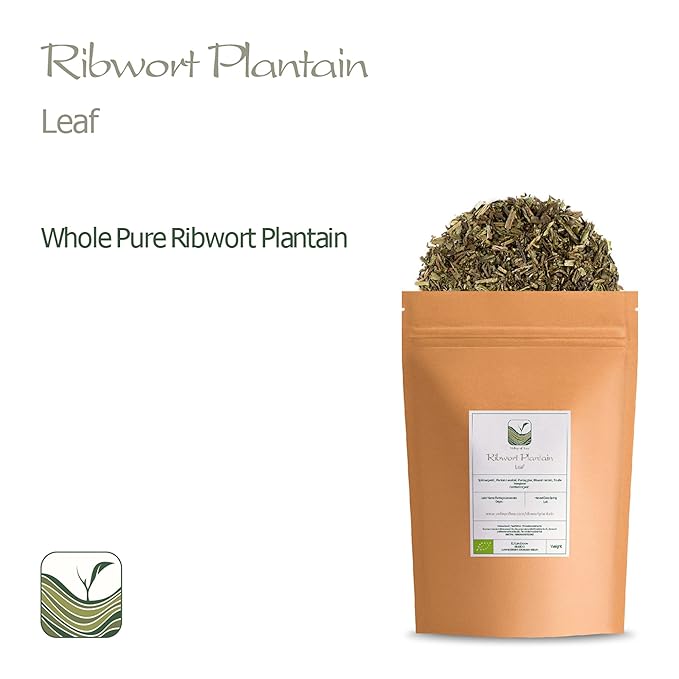 Plantain Leaf Tea Organic Herb