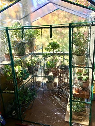 Greenhouse - Walk in Greenhouse with 8 Sturdy Shelves and PVC Cover for Indoor or Outdoor Use - 56 x 56 x 76-Inch Green House by Home-Complete