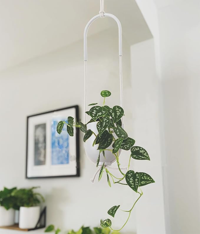 Boho Hanging Planter for Indoor Outdoor Plants Modern Wall and Ceiling Hanging Plant Basket Holder Hanger for Vines Succulents Ferns Room Decor(White)