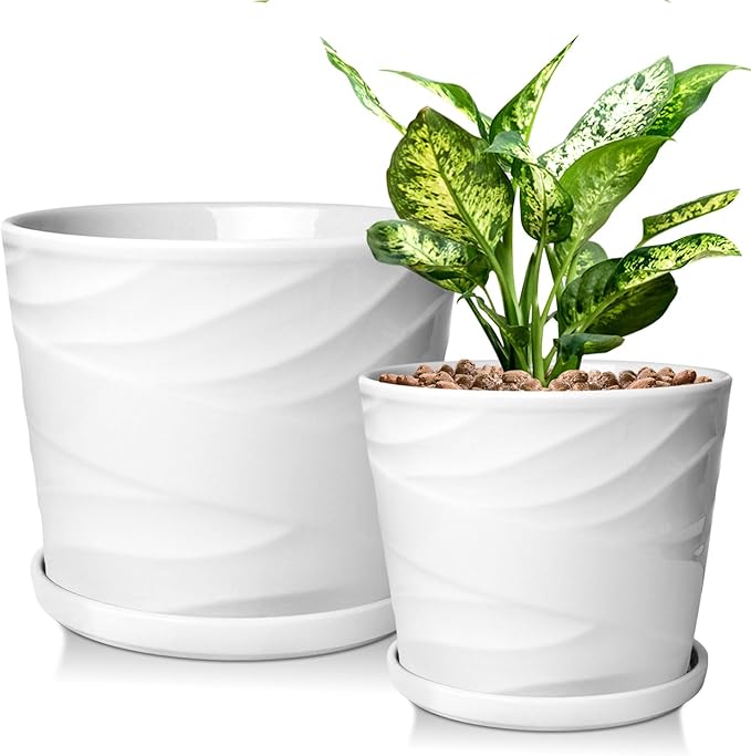 6.7 + 5.5 Inch Plant Pot, Ceramic Planter with Drainage and Saucer,Ceramic Pots for Plants, Indoor Plant pots,Succulent Orchid Flower Pot(Pure White)
