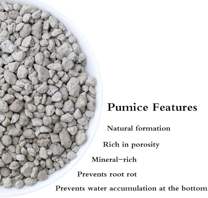 Voulosimi Garden Pumice Rock Horticultural Cactus Bonsai Succulent Soil Additive for Plants, Landscaping, Vase Fillers (1/2 inch, 6 LB)