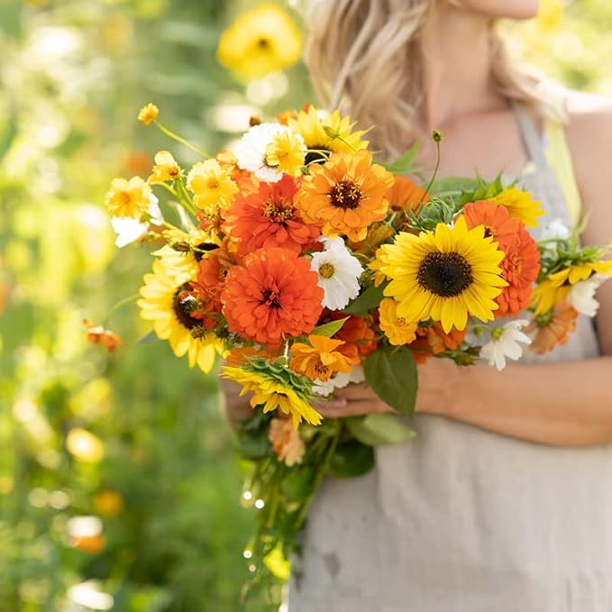 Eden Brothers Sunset Flower Mixed Seeds for Planting, 1 lb, 480,000+ Seeds with Cosmos, Zinnia, Sunflower, Corn Marigold | Attracts Pollinators, Plant in Spring or Fall, Zones 3, 4, 5, 6, 7, 8, 9, 10