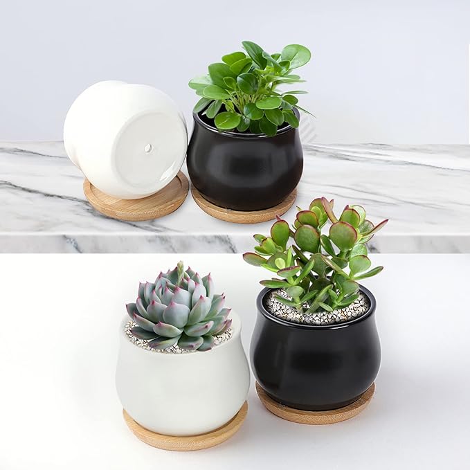 12 Pack Succulent Plant Pot, Mini 2.6 inch Ceramic Flower Planter Pot with Bamboo Tray, Small Pots for Plants, Plants Not Included (White, Black)