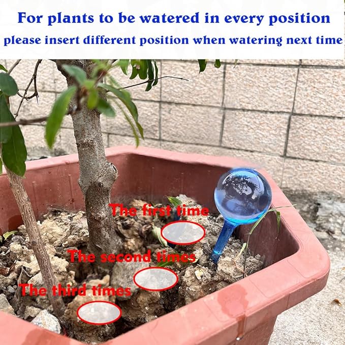 MOONSOUND Small Plant Watering Globes, 6pcs Plastic Plant Watering Devices, Plant Waterer Self Watering Bulbs for Indoor Outdoor Plants