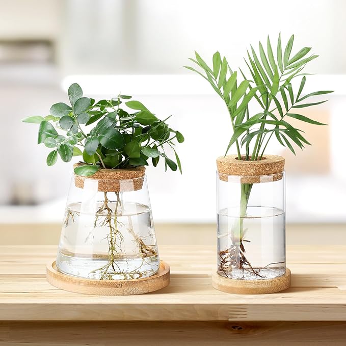 Layhit 4 Pcs Plants Propagation Stations Separated Desktop Plant Terrarium Glass Planter Vase with Wooden Lid and Bamboo Stand for Growing Hydroponic Home Office Tabletop Decoration (Stylish Style)