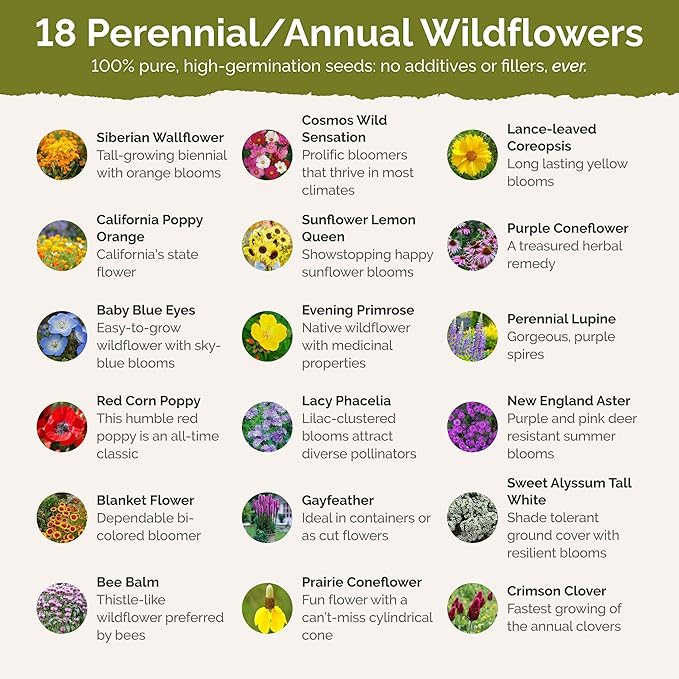 Eden Brothers Hawaii Wildflower Mixed Seeds for Planting, 1 oz, 30,000+ Seeds with Sunflower, Coneflower | Attracts Pollinators, Plant in Spring or Fall, Zones
