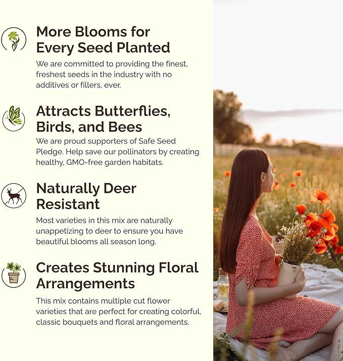 Eden Brothers California Wildflower Mixed Seeds for Planting, 25 lb, 12,000,000+ Seeds with Black Eyed Susan, Shasta Daisy, Attracts Pollinators, Plant in Spring or Fall, Zones 3, 4, 5, 6, 7, 8, 9, 10
