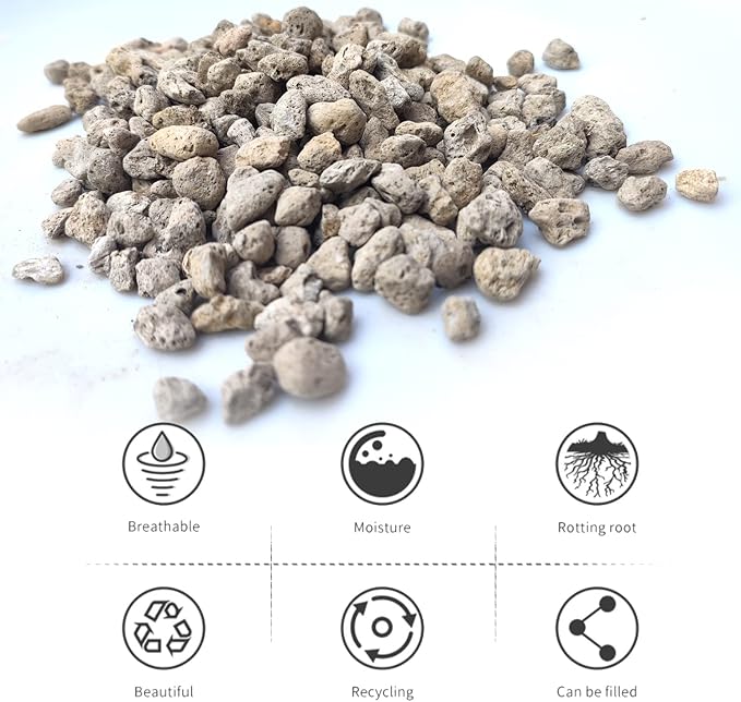 20QT Horticultural Pumice for Plants Professional Sifted - for Succulents, Cactus, Bonsai Plants - 3/8 inch (20QT)