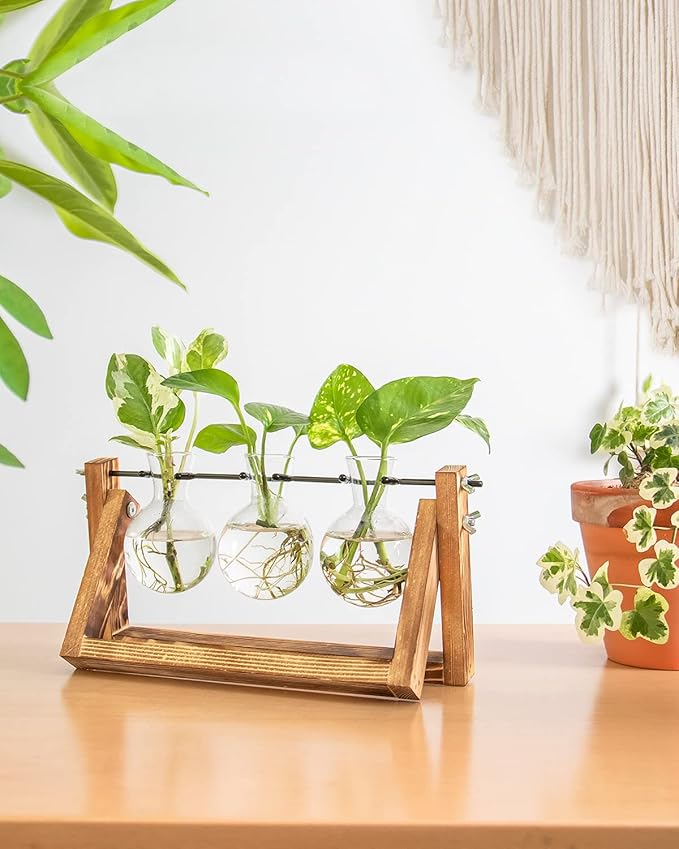 Ivolador Propagation Station, Bulb Plant Terrarium,Planter and Holder Plant Lover Gifts for Women ,Gifts for mom,Plants Home Garden Wedding Decor (3 Bulb-C Type)