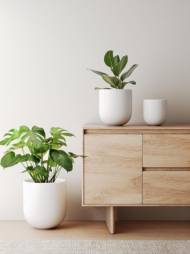 LE TAUCI 10 Inch Plant Pot, Ceramic Pots for Plants with Drainage Hole and Rubber Plug, Plant Pots Indoor for Olive Tree, Cylinder Planter Pot for Home Patio Office, White