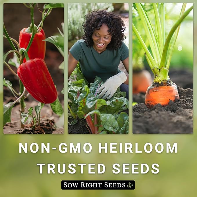 Sow Right Seeds - Garden Cress Seeds for Planting - Non-GMO Heirloom Packet with Instructions to Plant and Grow a Kitchen Herb Garden - Indoors or Outdoors - Edible Leaves and Cute Filler (3)