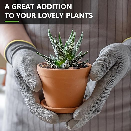 5 lbs Lava Rocks for Plants, 1/5 Inch Pea Gravel for Pots Indoor, Succulent, Terrarium, Cactus, Bamboo, Bonsai Tree, Mixed Color Volcanic Rocks for Top-Dressing, Good Drainage