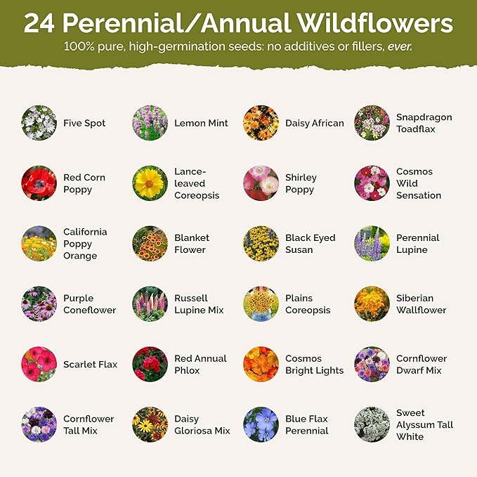 Eden Brothers Alabama Wildflower Mixed Seeds for Planting, 1/4 lb, 120,000+ Seeds with Cornflower, Cosmos, Blanket Flower | Attracts Pollinators, Plant in Spring or Fall, Zones