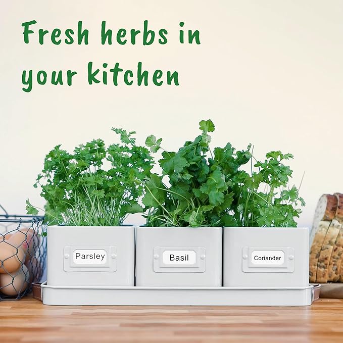 Herb Planter Indoor - Set of 3 Warmstone Indoor Herb Garden Pots for Plants with Leather Handled Tray - Window Sill Plant Shelf - Herb Pots with Drainage Holes and Labels