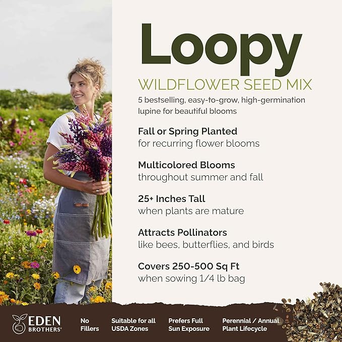 Eden Brothers Lupine Flower Mixed Seeds for Planting, 1/4 lb, 120,000+ Seeds with Russell, Arroyo, Yellow, Sky Lupine | Attracts Pollinators, Plant in Spring or Fall, Zones 3, 4, 5, 6, 7, 8, 9, 10