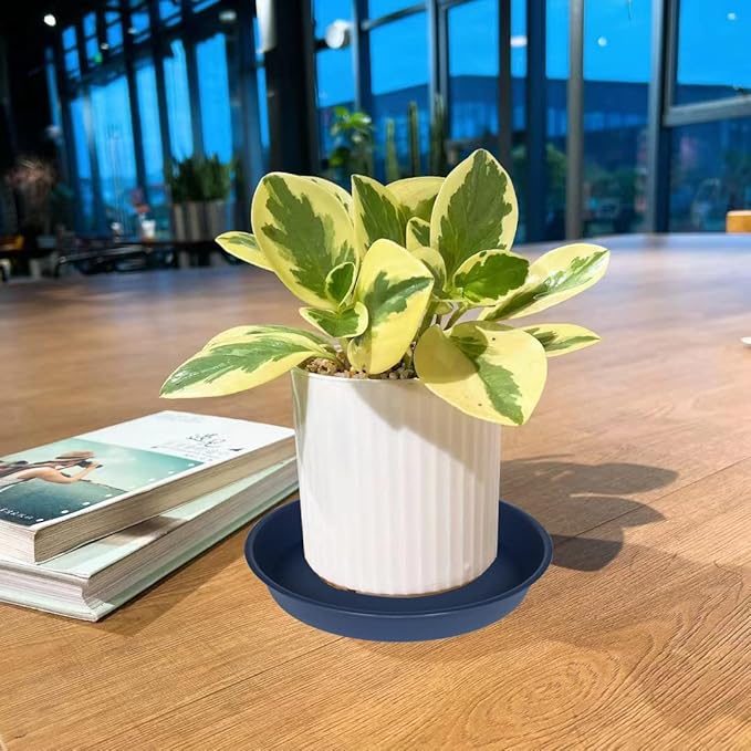 2 Pack of 18 19 inch Plant Saucer Drip Tray (16.6 inch Base), Heavy Duty Deep Plant Saucers for Pots, Plastic Flower Planter Water Trays for Indoors Outdoor (19", Blue)