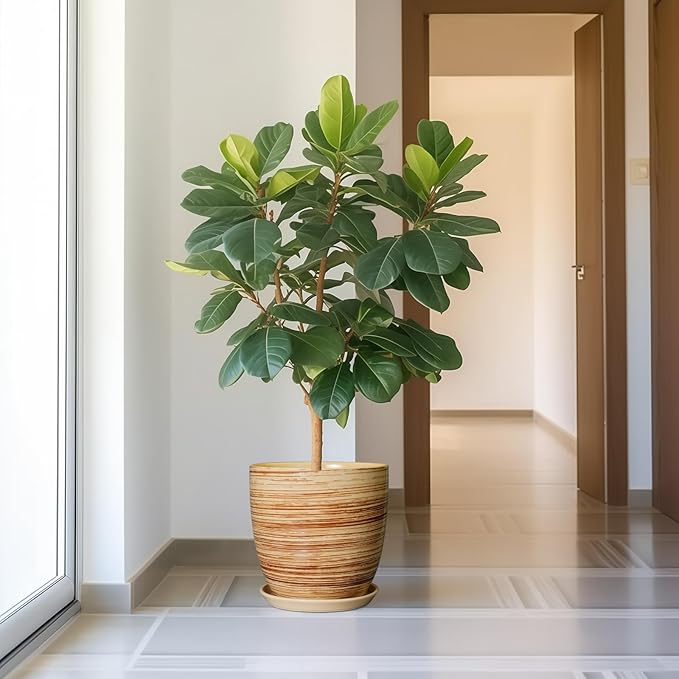 12 Inch Planter Pot Ceramic Plant Pots for Plants with Drainage Hole and Saucer Large Flower Pot for Home Patio Garden Office Yellow